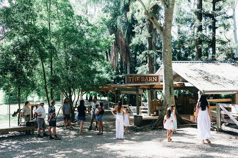 Tropical Fruit World Farm Full Tour - Accommodation Redcliffe 3
