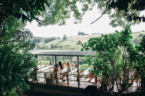 Tropical Fruit World Farm Full Tour - Accommodation Redcliffe 4