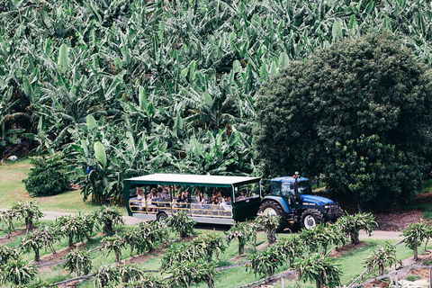 Tropical Fruit World Farm Full Tour - Accommodation Redcliffe 5