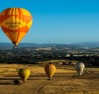 Yarra Valley Balloon Flight and Winery Tour - Accommodation Redcliffe