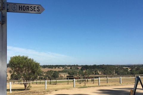 Legends & Champions Tour - Accommodation Redcliffe 5