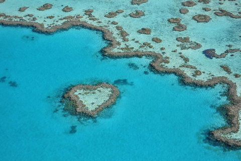 Reef And Island Scenic Flight From Airlie Beach - Accommodation Redcliffe 5