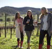 Yarra Valley 2-6 guests Premium Food and Wine inc Lunch at Dominique Portet - Accommodation Redcliffe