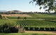 Yarra Valley 2-6 Guests Premium Food And Wine Inc Lunch At Dominique Portet - thumb 2