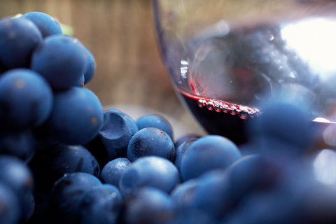 Yarra Valley 2-6 Guests Premium Food And Wine Inc Lunch At Dominique Portet - Accommodation Redcliffe 5