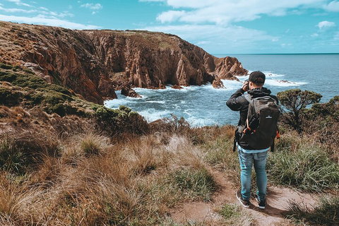 Private Phillip Island & Penguin Parade Hiking Tour From Melbourne - Accommodation Redcliffe 5