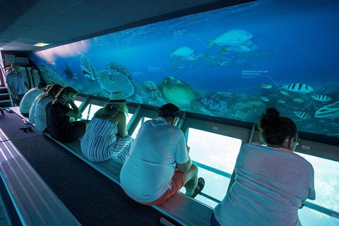 Great Barrier Reef Day Cruise To Reefworld - Accommodation Redcliffe 0