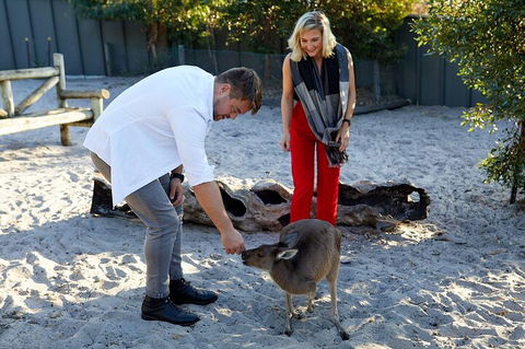 Albany's Whale Story - Accommodation Redcliffe 1