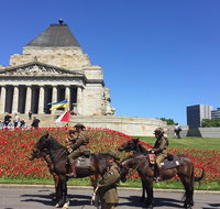 Private Half Day Melbourne City Tour with Local guide - Accommodation Redcliffe