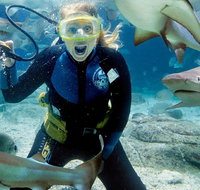 Shark Dive Experience at SEA LIFE Melbourne Aquarium - Accommodation Redcliffe