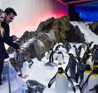 Penguin Passport at SEA LIFE Melbourne Aquarium - Accommodation Redcliffe