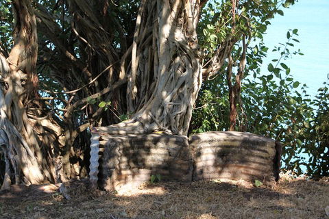 Darwin Walking Tour: World War II Reflections - Accommodation Redcliffe 3