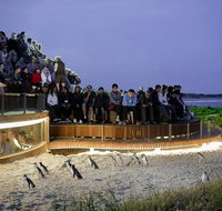 2-Day Great Ocean Road Mornington Peninsula and Phillip Island Tour - Accommodation Redcliffe