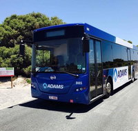 Rottnest Bayseeker Bus Tour from Hillarys Boat Harbour - Accommodation Redcliffe