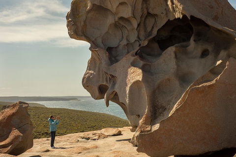 Kangaroo Island In A Day Tour From Adelaide - Accommodation Redcliffe 5