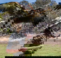 One Day Kangaroo Island Sip  See tour with return ferry transfers from Adelaide - Accommodation Redcliffe