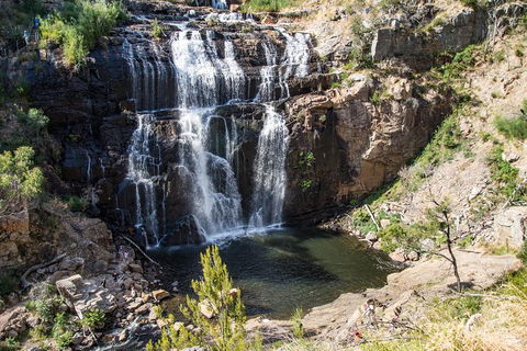 Great Ocean Road Grampians 3 Day National Park Tour Melbourne Roundtrip - Accommodation Redcliffe 2
