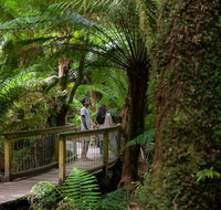Great Ocean Road to Grampians 2 Day 1 Night Tour from Melbourne to Adelaide - Accommodation Redcliffe