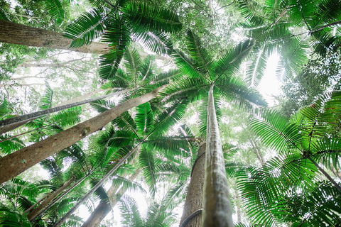 Fraser Explorer K'gari 2-Day Tour - Accommodation Redcliffe 2