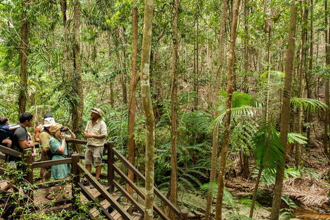Fraser Explorer K'gari 2-Day Tour - Accommodation Redcliffe 5
