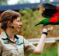 VIP Sanctuary Tour at Healesville Sanctuary Ticket - Accommodation Redcliffe
