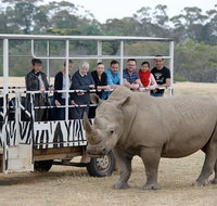 Off-Road Safari at Werribee Open Range Zoo - Accommodation Redcliffe
