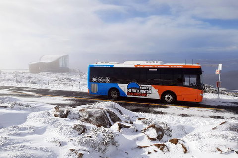 Hobart Hop-On Hop-Off Bus & Kunanyi/Mt Wellington Tour - Accommodation Redcliffe 5