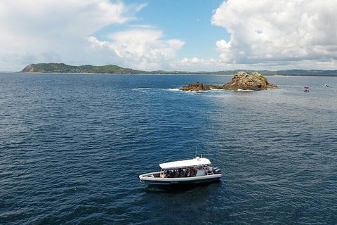Julian Rocks Byron Bay Cruise - Accommodation Redcliffe 5