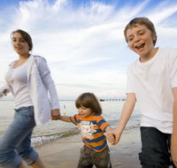 Phillip Island Penguin and Koala Highlights Day-Trip from Melbourne - Accommodation Redcliffe
