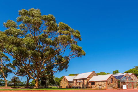 McLaren Vale And Glenelg Wine Tasting And Sightseeing (Half-day Afternoon) - Accommodation Redcliffe 5