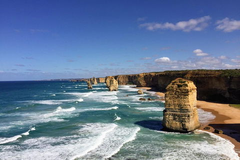Great Ocean Road Reverse Itinerary Tour - Accommodation Redcliffe 4