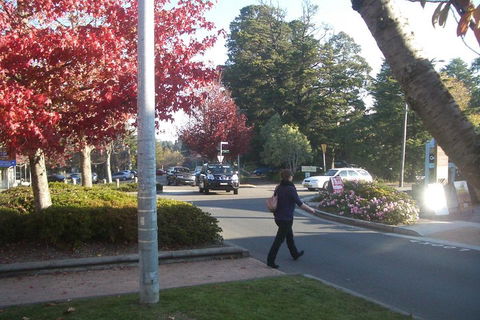 PRIVATE All-Day Blue Mountains Tour With Professional Guide For Up To 4 People - Accommodation Redcliffe 1