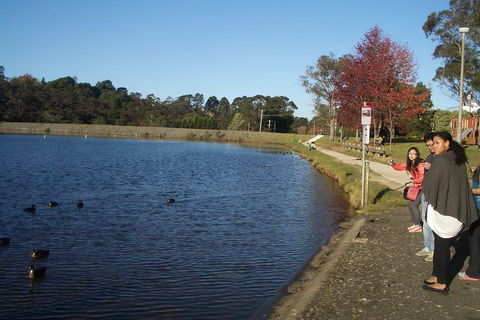 PRIVATE All-Day Blue Mountains Tour With Professional Guide For Up To 4 People - Accommodation Redcliffe 2