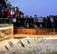 Great Ocean Road  Phillip Island - 3 Days 2 Nights - Accommodation Redcliffe