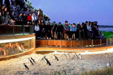 Great Ocean Road & Phillip Island - 3 Days, 2 Nights - Accommodation Redcliffe 0