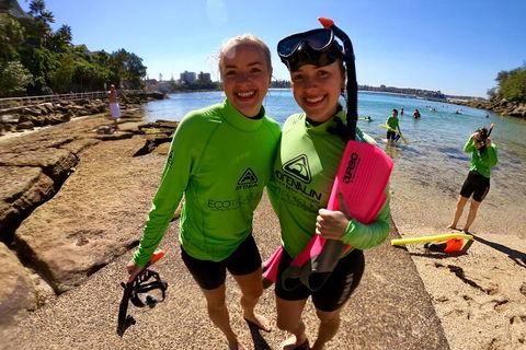 Manly Snorkel Trip And Nature Walk With Local Guide - Accommodation Redcliffe 1