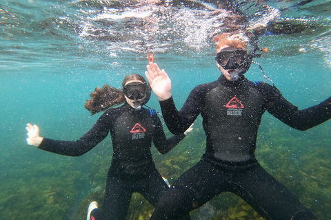 Manly Snorkel Trip And Nature Walk With Local Guide - Accommodation Redcliffe 3