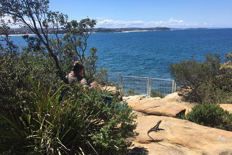 Manly Snorkel Trip And Nature Walk With Local Guide - Accommodation Redcliffe 4