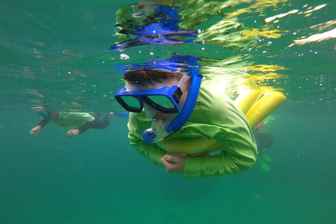 Manly Snorkel Trip And Nature Walk With Local Guide - Accommodation Redcliffe 5