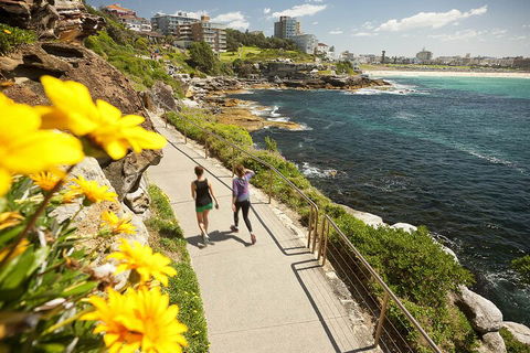 Sydney Uncovered Full-Day Tour - Accommodation Redcliffe 1