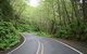 Private Three Day Great Ocean Road Tour - thumb 5