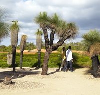 1 Day Exclusively Private Tour Of Phillip Island  The Penguin Parade - Accommodation Redcliffe