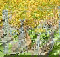 Margaret River Indulge and Discover Day Tour - Accommodation Redcliffe