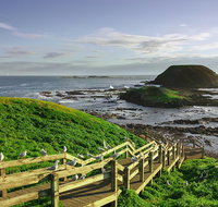 Full-Day Private Australian Wildlife Tour of Phillip Island - Accommodation Redcliffe
