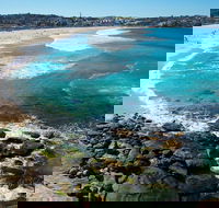 Private Sydney Foreshores and Beaches SUV Tour - Accommodation Redcliffe