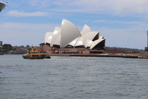 Private Sydney City And Bondi Beach Half Day Tour - Accommodation Redcliffe 5