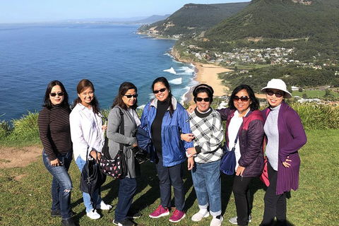 Private Grand Pacific Drive And Southern Highlands Tour - Accommodation Redcliffe 3