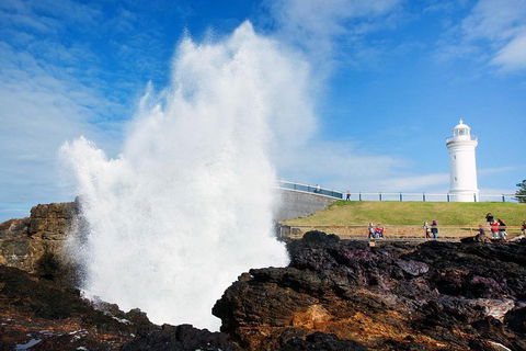 Private Grand Pacific Drive And Southern Highlands Tour - Accommodation Redcliffe 4