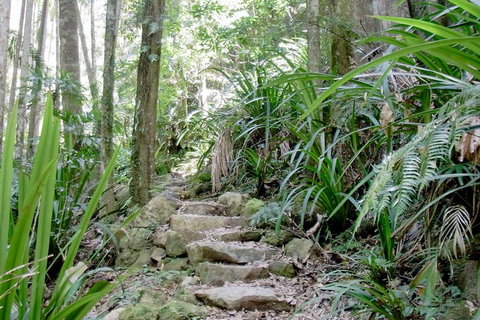 Byron Bay Combo: Minyon Falls And Hinterland Day Trip And Learn To Surf At Byron Bay - Accommodation Redcliffe 3