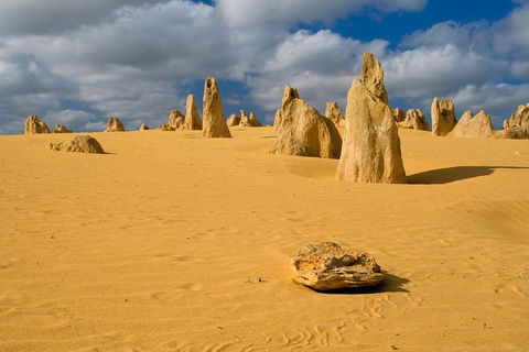 The Pinnacles, Sea And Dunescapes, Bush Reserve And Sunset Day Tour - Accommodation Redcliffe 0